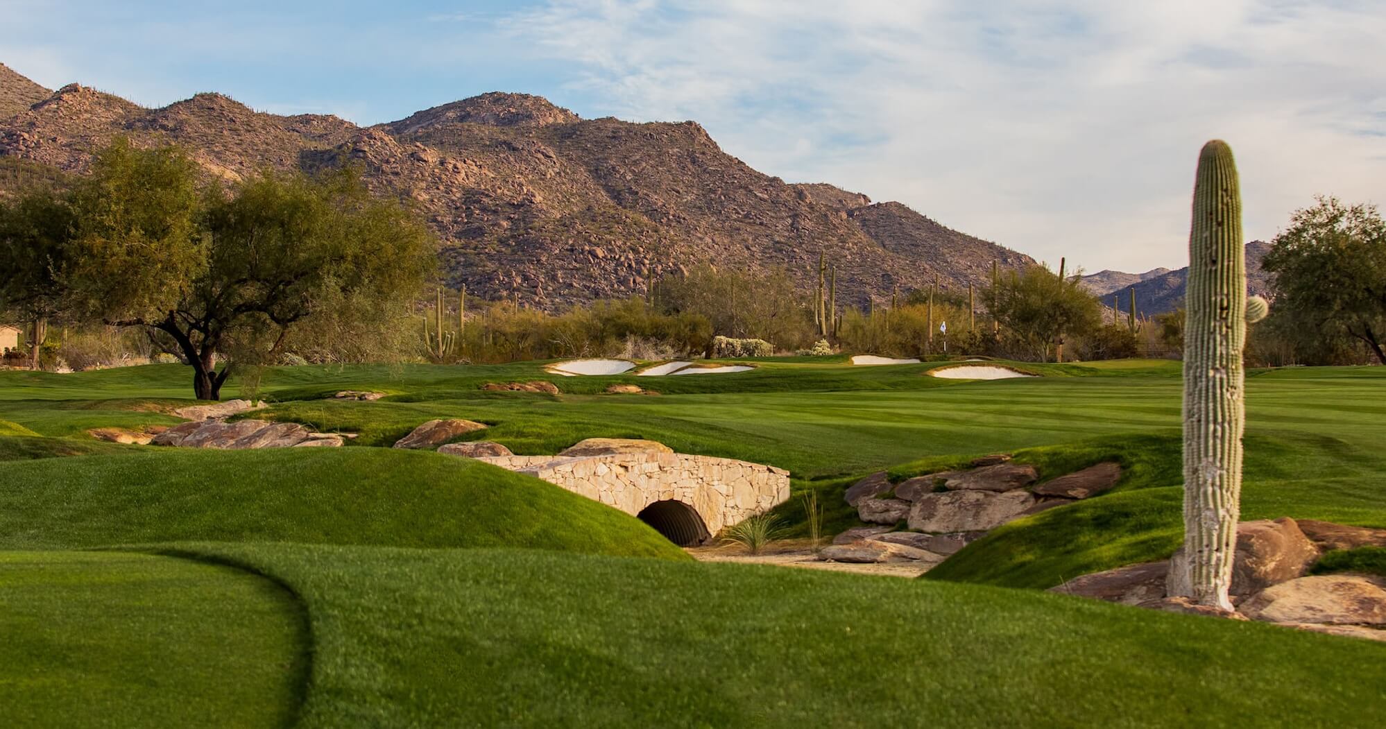 Clubs of Dove Mountain
